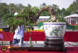 Một số tác phẩm tại hội thi festival sadec (P2) 