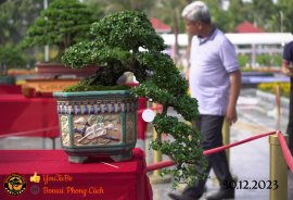 Một số tác phẩm tại hội thi festival sadec (P2) 