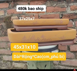 Cần thanh lý hàng bom #430k bao ship