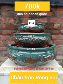 Dọn kho thanh lý tết #620k bao ship