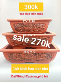 Thanh lý sale 270k