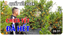 Tết 2024 chưa tới mà thủ phủ Quất Liên Nghĩa đã bán sạch 85%...