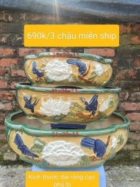 Còn 4 bộ dọn kho, 570k/1 bộ bao ship