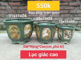 Thanh lý 420k bao ship