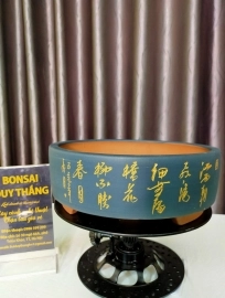 Chậu trồng cây bonsai