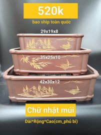 Chậu chữ nhật múi