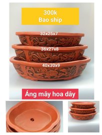 Chậu bonsai hàng Bát tràng Việt Nam, giá từ 270k đến 350k