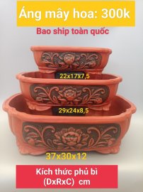 Chậu bonsai hàng Bát tràng Việt Nam, giá từ 270k đến 350k