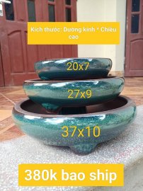 Chậu bonsai hàng Bát tràng Việt Nam, giá từ 370k đến 500k