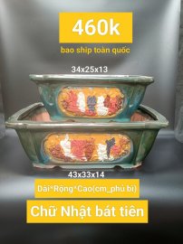 Chậu bonsai hàng Bát tràng Việt Nam, giá từ 370k đến 500k