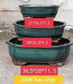 Chậu bonsai hàng Bát tràng Việt Nam, giá từ 370k đến 500k