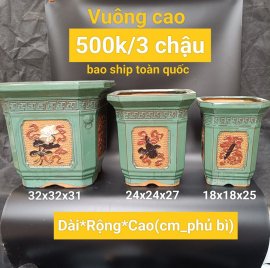 Chậu bonsai hàng Bát tràng Việt Nam, giá từ 370k đến 500k