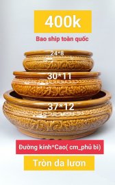 Chậu cây bonsai