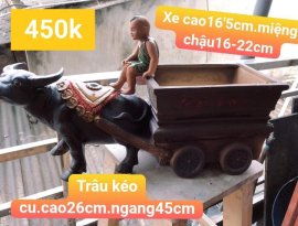 Chậu trâu kéo tài lộc