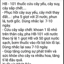 Hướng dẫn sử dụng