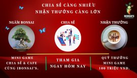 Mini game vui vẻ: Cafe cùng iBonsai's năm 2024