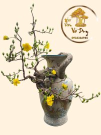 Yellow apricot bonsai artwork