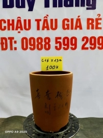 Chậu tàu giá rẻ từ 100k đến 160k