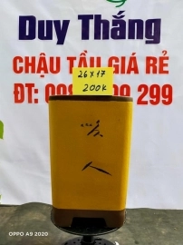 Chậu tàu giá rẻ từ 200k đến 250k