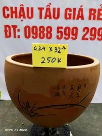 Chậu tàu giá rẻ từ 200k đến 250k