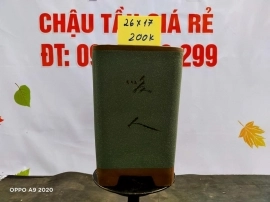 Chậu tàu giá rẻ từ 200k đến 250k