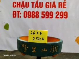 Chậu tàu giá rẻ từ 200k đến 250k