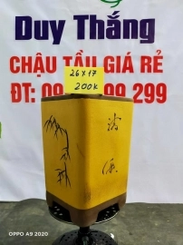 Chậu tàu giá rẻ từ 200k đến 250k