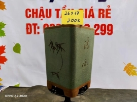 Chậu tàu giá rẻ từ 200k đến 250k