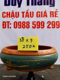 Chậu tàu giá rẻ từ 200k đến 250k