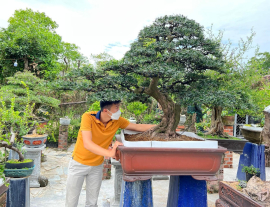 Tùng như thế này ai mà chiệu nỗi.