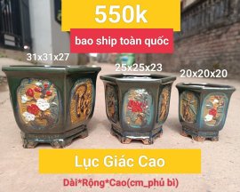 Chậu lục giác cao