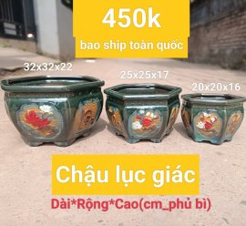 Chậu Bonsai lục giác 