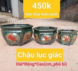 Chậu Bonsai lục giác 