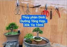 Thủy phân dinh dưỡng tổng hợp