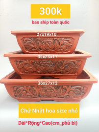 Chậu chữ nhật hoa size nhỏ