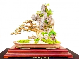 Tác phẩm Mã Truy Phong