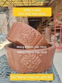 Mẫu chậu tròn