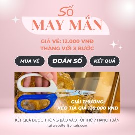 Sân chơi: Số May Mắn