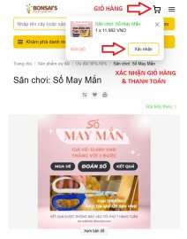 Số may mắn. Giải thưởng: mai chiếu thủy giá 2.4 triệu