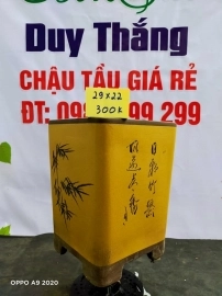 Chậu tàu giá rẻ từ 300k đến 450k