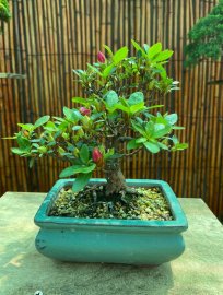 Cuối tuần gl vài em Quyên