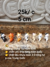 Phụ kiện thiểu cảnh