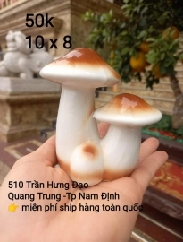 Phụ kiện thiểu cảnh