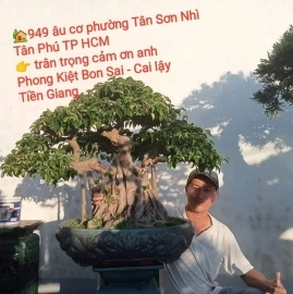 Chậu Bonsai