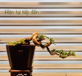 Tác phẩm Hiện tại tiếp diễn