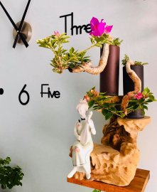 Tác phẩm Tỷ Muội Vân Kiều