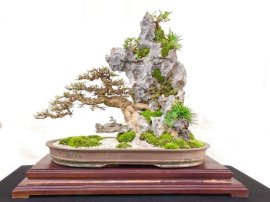 Tác phẩm Mã Truy Phong