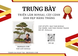 Tp: Sam Trái Phong tranh chia sẽ cùng ae. 