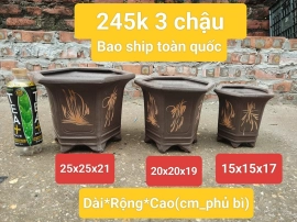 Thanh lý xả kho 215k 1 bộ bao ship