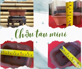 Chậu tàu mini quà tặng triển lãm